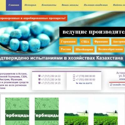 Интернет-магазин для «Астана нан»